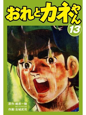 cover image of おれとカネやん　13